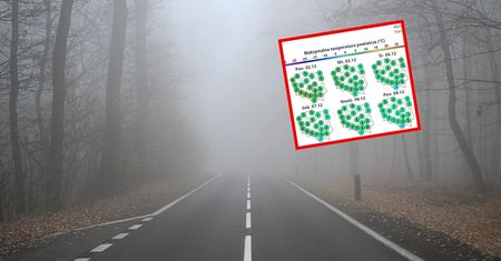 Co z nadejściem zimy? Jest prognoza na 10 dni