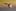 417848692797167474