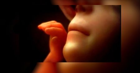 Jak powstaje życie? Fascynujący filmik pokazuje to w 4 minuty (WIDEO)