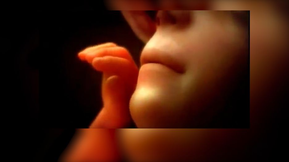 Jak powstaje życie? 