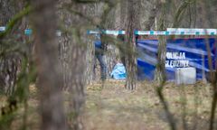 Media: Pocięte zwłoki w kompleksie leśnym. Jest komunikat policji