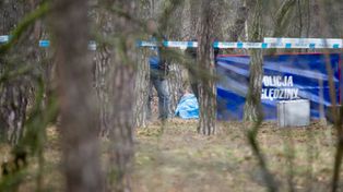 Media: Pocięte zwłoki w kompleksie leśnym. Jest komunikat policji