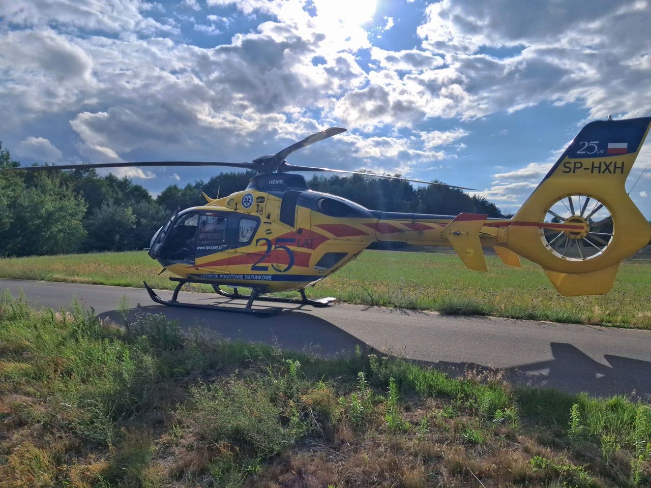 Szerszeń zabił strażaka. Tragedia pod Włocławkiem