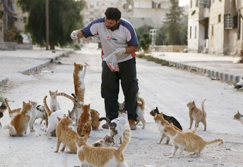 Ten mężczyzna został w Aleppo, żeby karmić koty