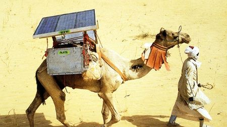 Przez pustynię z solarną kliniką na wielbłądzie 1