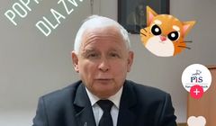 Jarosław Kaczyński pojawił się na TikToku, promuje ustawę antyfutrzarską (wideo)