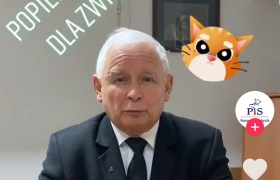 Jarosław Kaczyński pojawił się na TikToku, promuje ustawę antyfutrzarską (wideo)