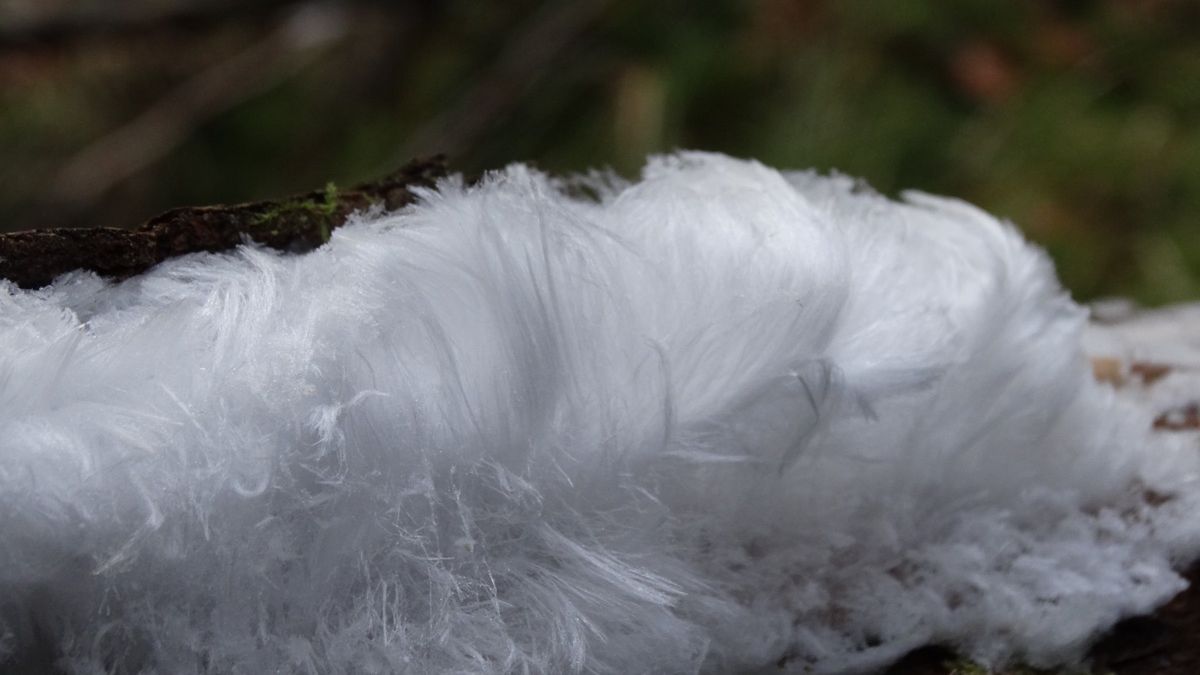 Mróz, a może szadź? Niewiele osób zdaje sobie sprawę, co to takiego