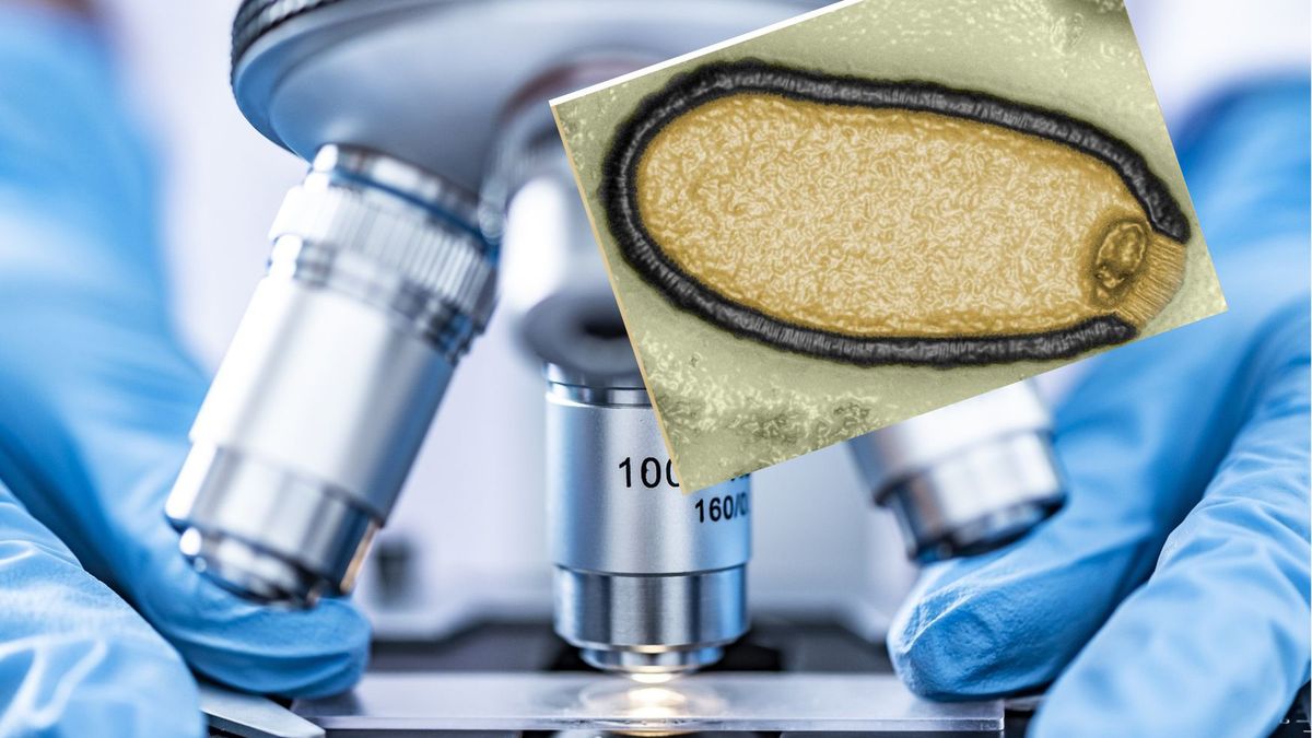 Naukowcy ożywili wirusy "zombie"