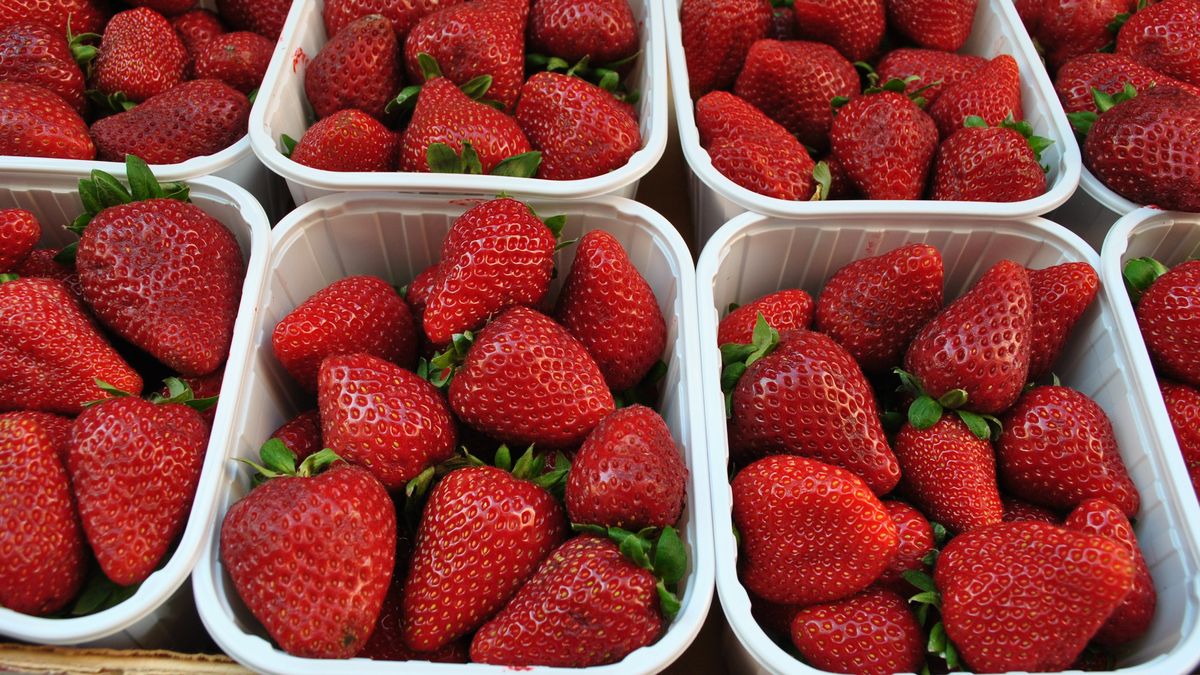 Truskawki to bardzo delikatne owoce