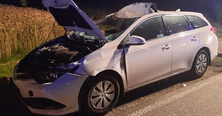 Uwaga na dzikie zwierzęta. Policja apeluje do kierowców