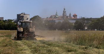Wjechał traktorem na krakowskie Błonia. Zapach czuć już z daleka... Co na to Zarząd Zieleni Miejskiej?