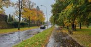 Legnica: Kto wyremontuje al. Ofiar Ludobójstwa OUN UPA? Cztery firmy chętne