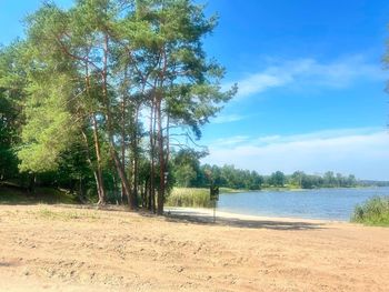 Koniec z wjazdem samochodów na plażę w Zaździerzu. Powstaną zabezpieczenia