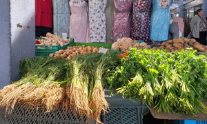 Nowalijki do kupienia. Oto na co trzeba uważać