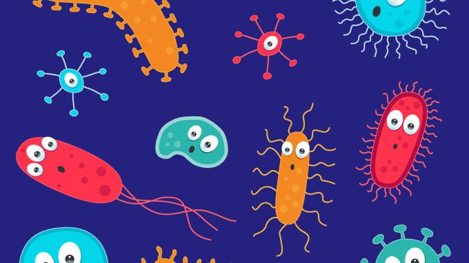 Bostonka rozprzestrzenia się w szybkim tempie, zwłaszcza w żłobkach i przedszkolach