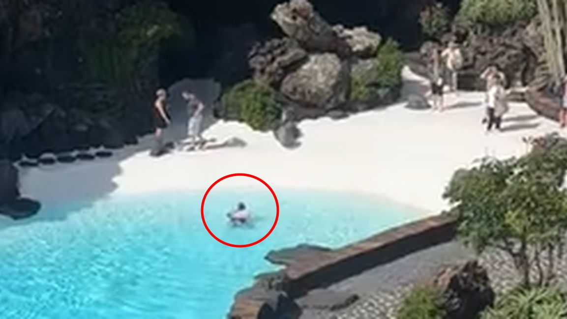 Zachowanie turystyki zostało nagrane i udostępnione na TikToku