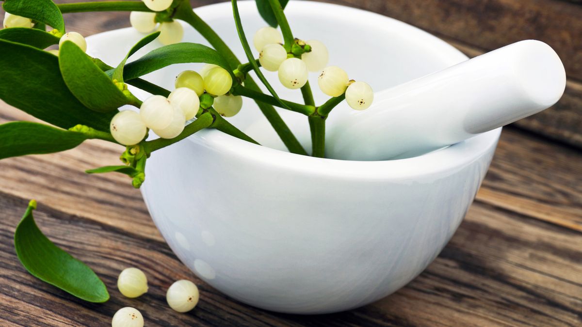 Jemioła ma silne działanie na organizm człowieka.