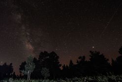 Noc spadających gwiazd 2020. Te świecące smugi to Perseidy