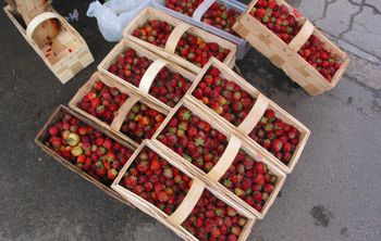 Polacy zapisują się na truskawki. "Cena 60-70 zł za łubiankę"