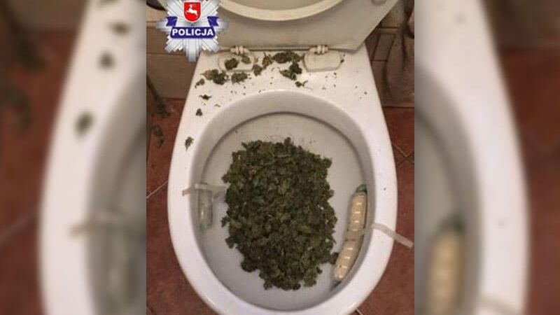 narkotyki marihuana toaleta