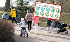 Wiosenna aura wkroczy do Polski.  Na termometrach nawet 16 st. C!