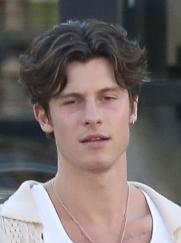 Shawn Mendes ma romans z 50-LETNIĄ kobietą?!