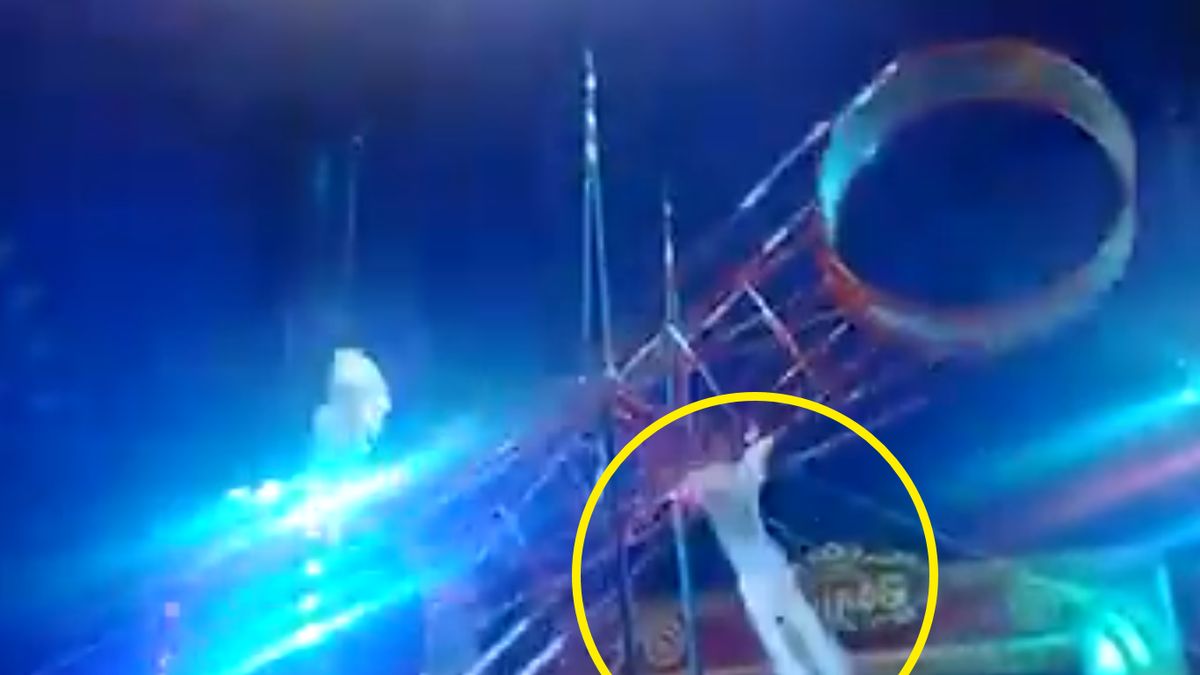 Akrobata spadł z 7 metrów 