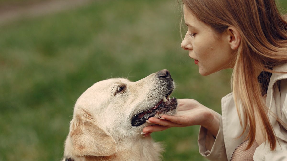 Pies słucha, co do niego mówisz — naprawdę! 