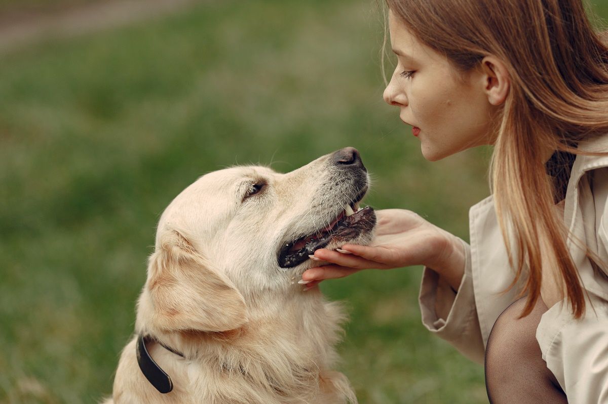 Psy nie wszystkich słuchają tak samo. Naukowcy odkryli, że są jak niemowlęta