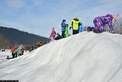 Białe szaleństwo w Tatrach lub Alpach? Polacy zdradzają plany na ferie