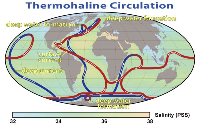 Model współczesnej cyrkulacji termohalinowej (fig. NASA)