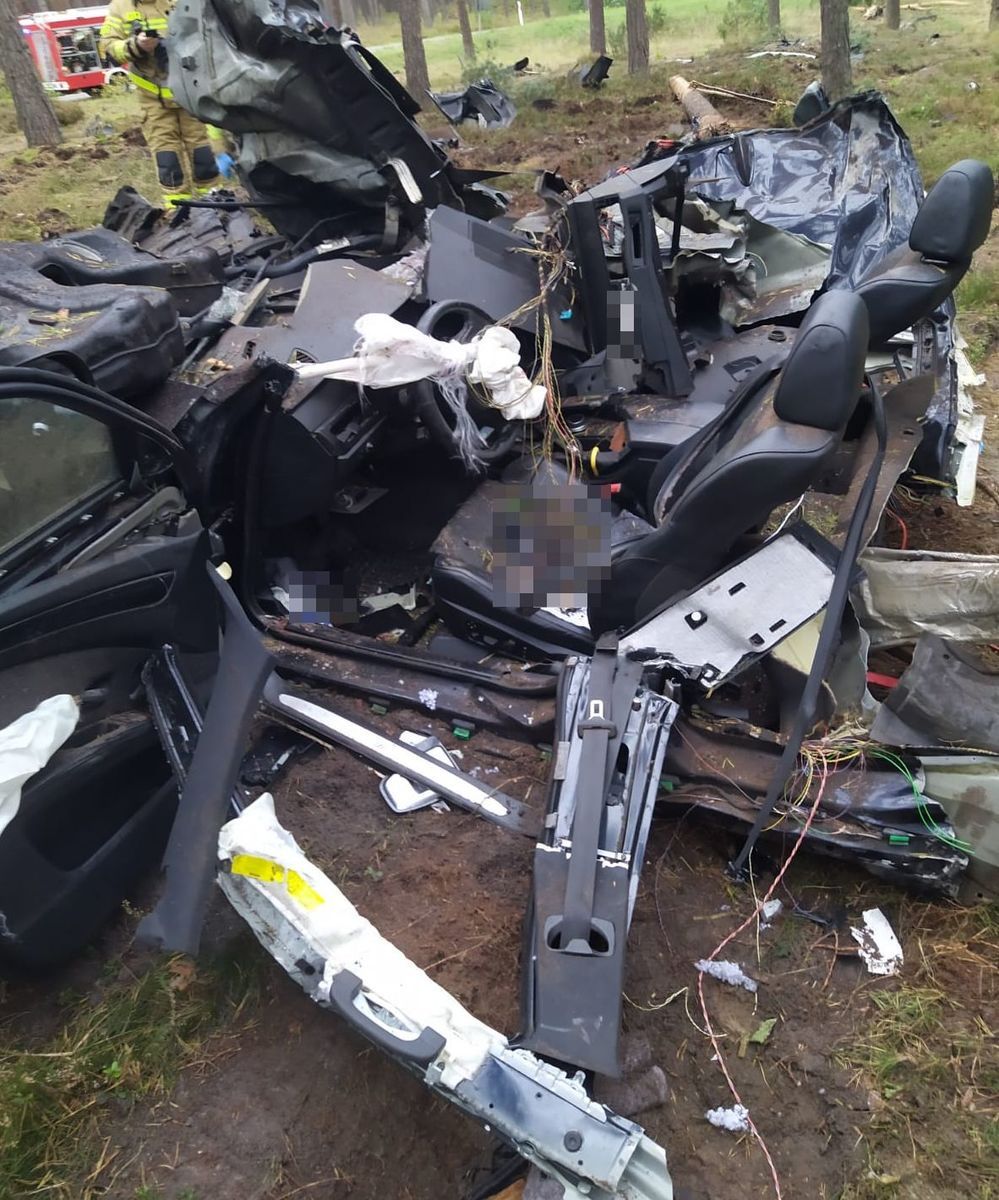 BMW roztrzaskane na drzewach w lesie