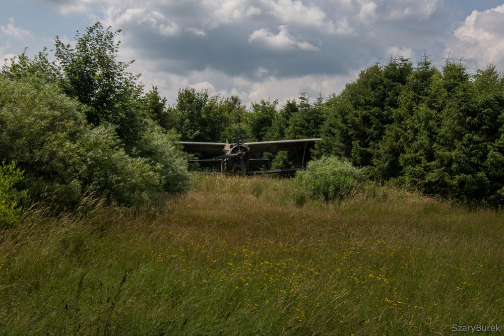 Zapomniany radziecki dwupłatowiec odnaleziony na północy Polski 12