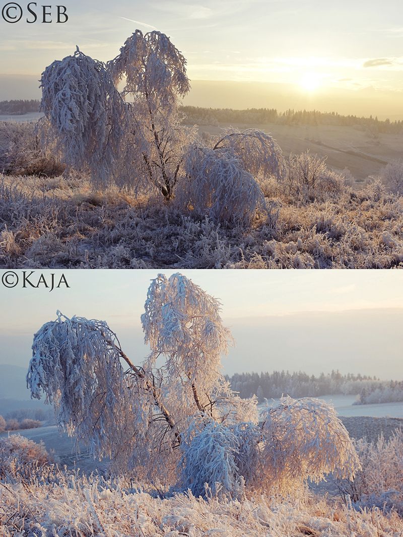 Fotograficzny pojedynek, który dał nadzieję fotografom i rodzicom z całego świata 7