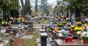 Nagła zmiana. Eksperci IMGW ogłaszają ws. Wszystkich Świętych. Złe wieści!