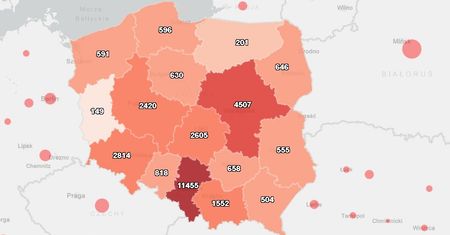 Mapa koronawirusa pokazuje, że liczba chorych rośnie coraz szybciej. Najnowsze dane