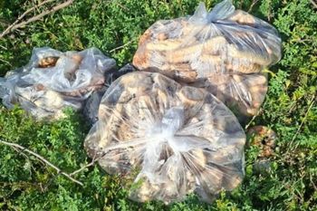 "Prezent" czekał w lesie. Leśnicy zniesmaczeni. Spójrzcie, co zastali