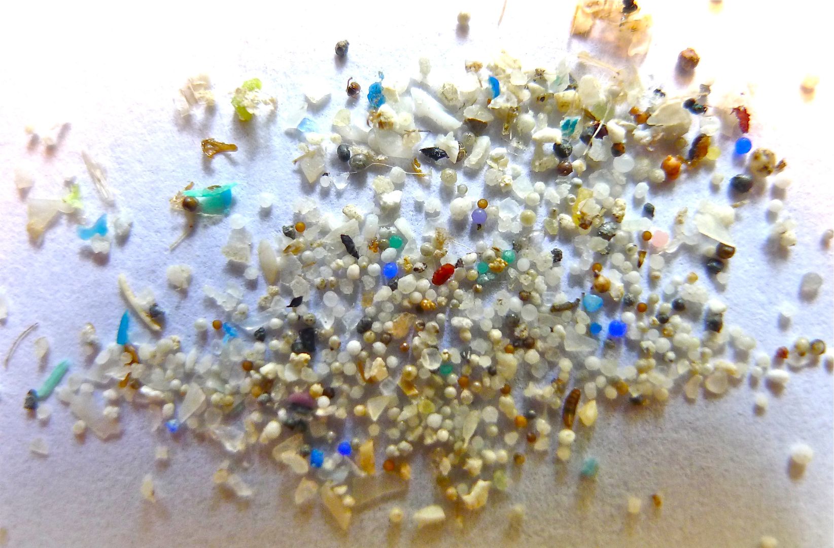 Polacy zbadali mikroplastik. Kolejny problem rolników?