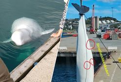 Były "rosyjski szpieg" zastrzelony? "Walczymy o sprawiedliwość"