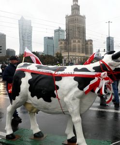 Rolnicy biorą na cel Warszawę. Zastosują taktykę z czasów Andrzeja Leppera