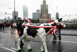 Rolnicy biorą na cel Warszawę. Zastosują taktykę z czasów Andrzeja Leppera