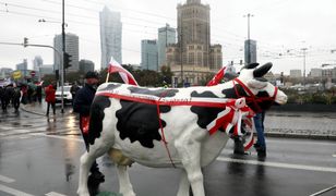 Rolnicy biorą na cel Warszawę. Zastosują taktykę z czasów Andrzeja Leppera