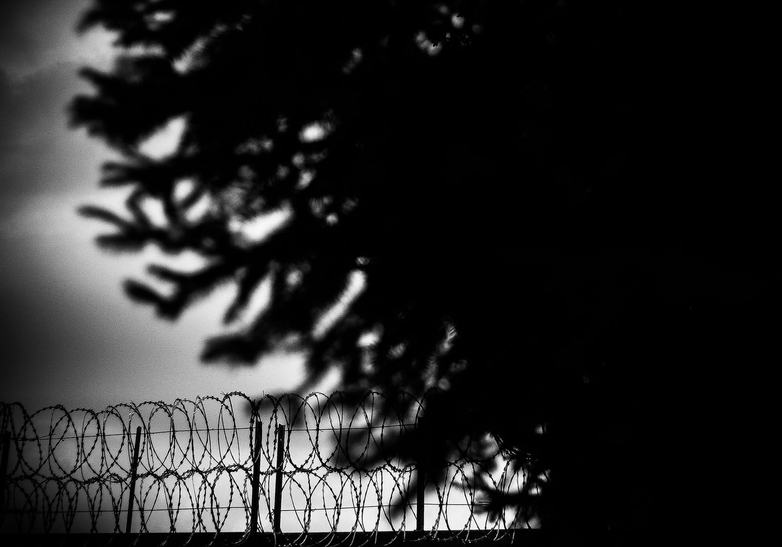 &quot;Sekundy życia w obiektywie do ukrycia&quot;. Dominów 2017