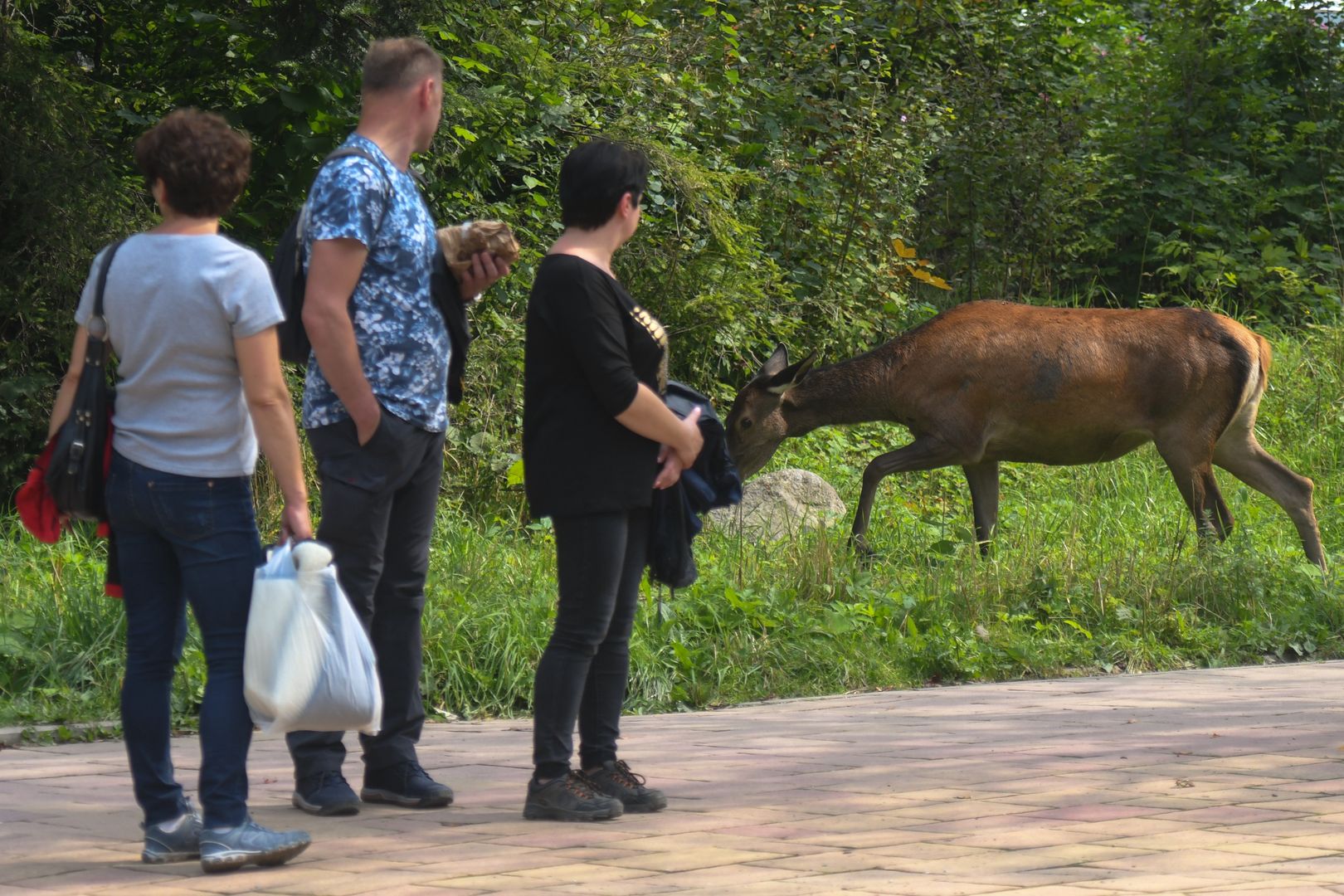 Zakopane apeluje do mieszkańców i turystów. To może się źle skończyć