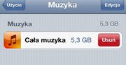 Jak ekspresowo pozbyć się całej biblioteki muzycznej z urządzenia iOS?