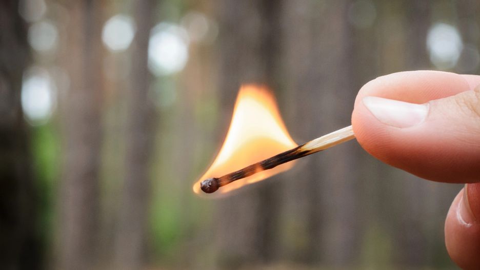 Fot. depositphotos.com