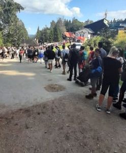 Pogoda dopisała, Polacy wstali z kanap. Efekt? Sami zobaczcie