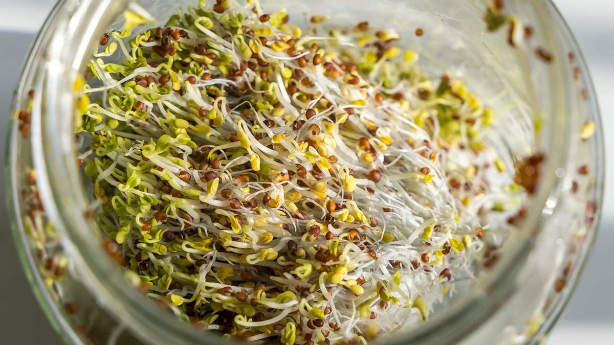 Włącz do diety już dzisiaj