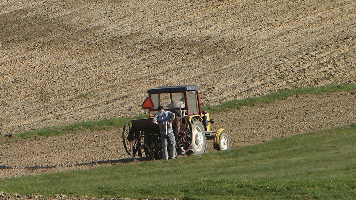 85-letni mężczyzna zaklinował się w kopaczce do ziemniaków. Wypadku nie przeżył. Zdjęcie ilustracyjne.